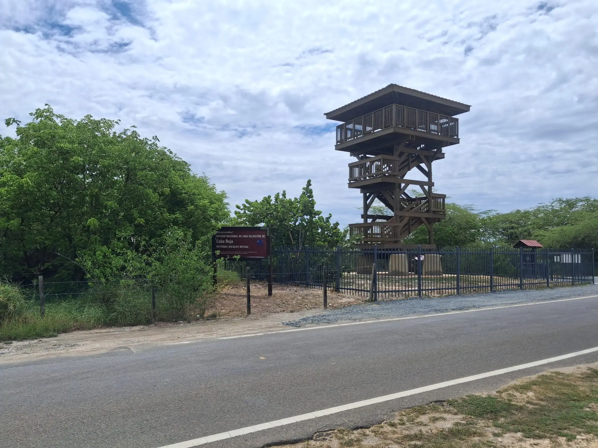 The wooden observation tower beside the road at the Cabo Rojo salt flats, surrounded by dry coastal scrub
