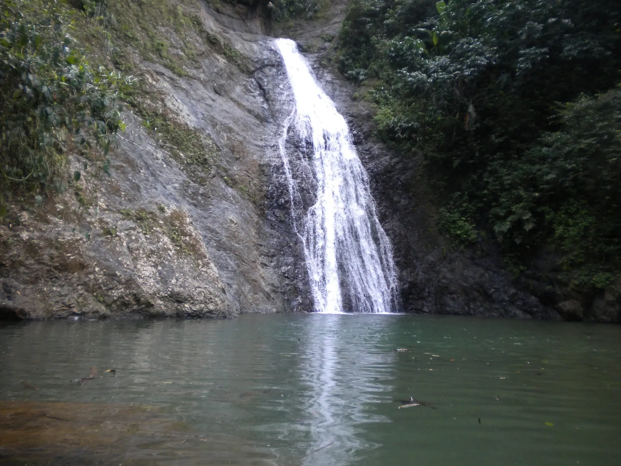 Salto Curet, una cascada que cae por una pared de roca a una poza verde y profunda en el bosque de Maricao