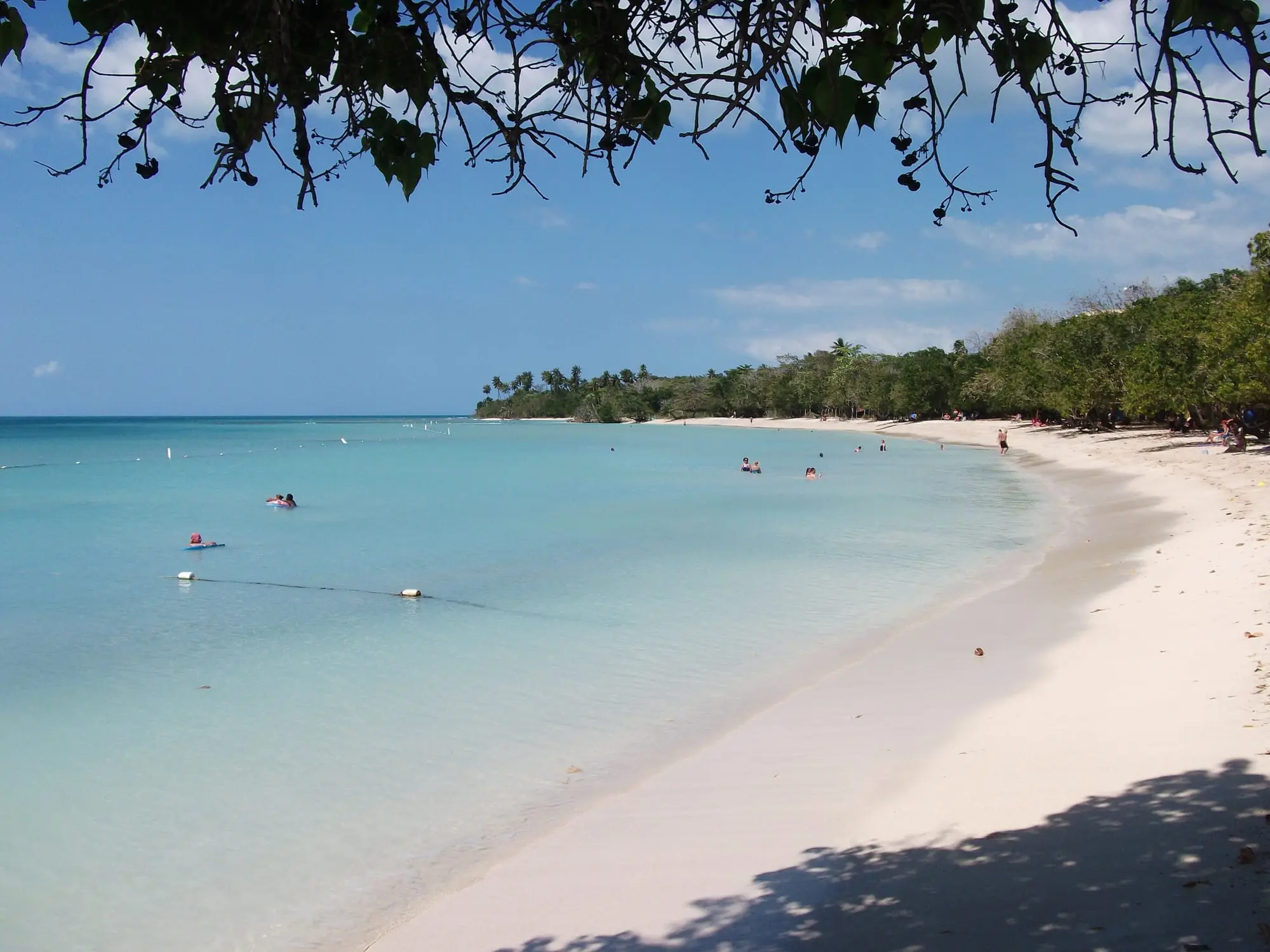 La curva de Playa Buyé, con agua turquesa en calma y árboles junto a la arena
