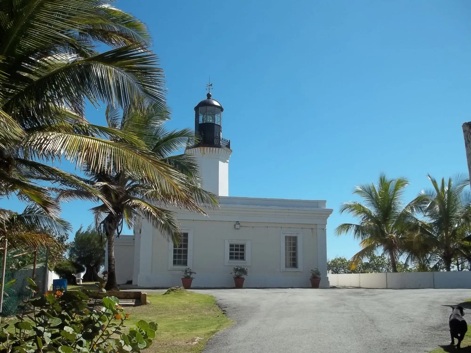 The white Punta Tuna lighthouse among palm trees in Maunabo