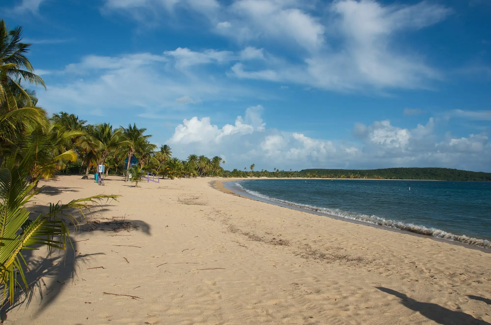 The long, curving beach of Sun Bay in Vieques, with calm turquoise water and palm trees along the sand