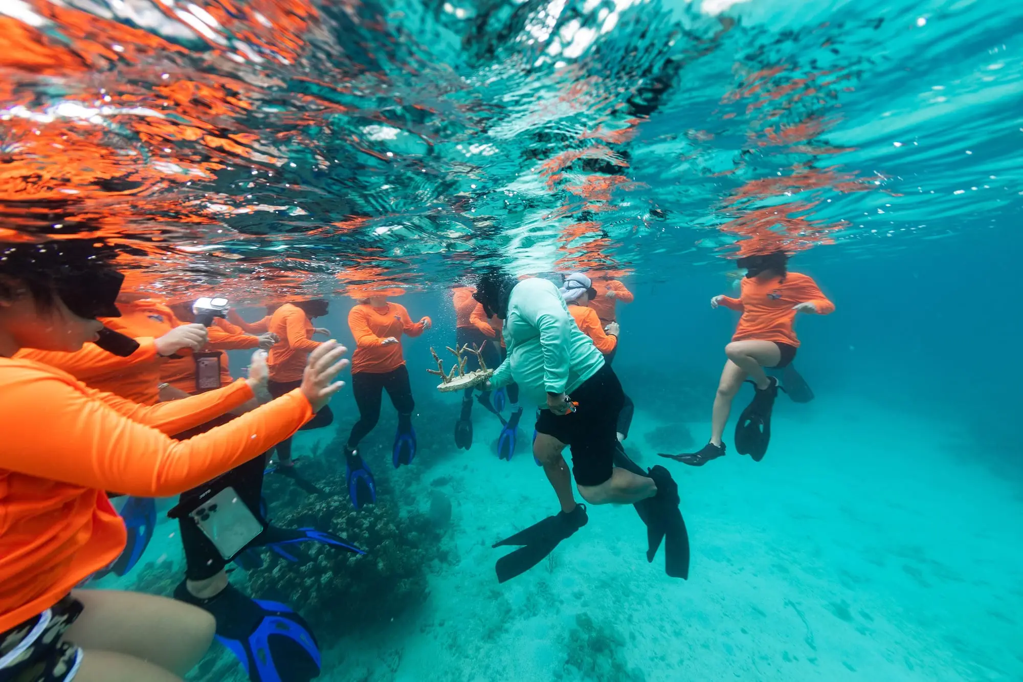 Personas haciendo snorkel sobre el arrecife de Punta Soldado, en Culebra