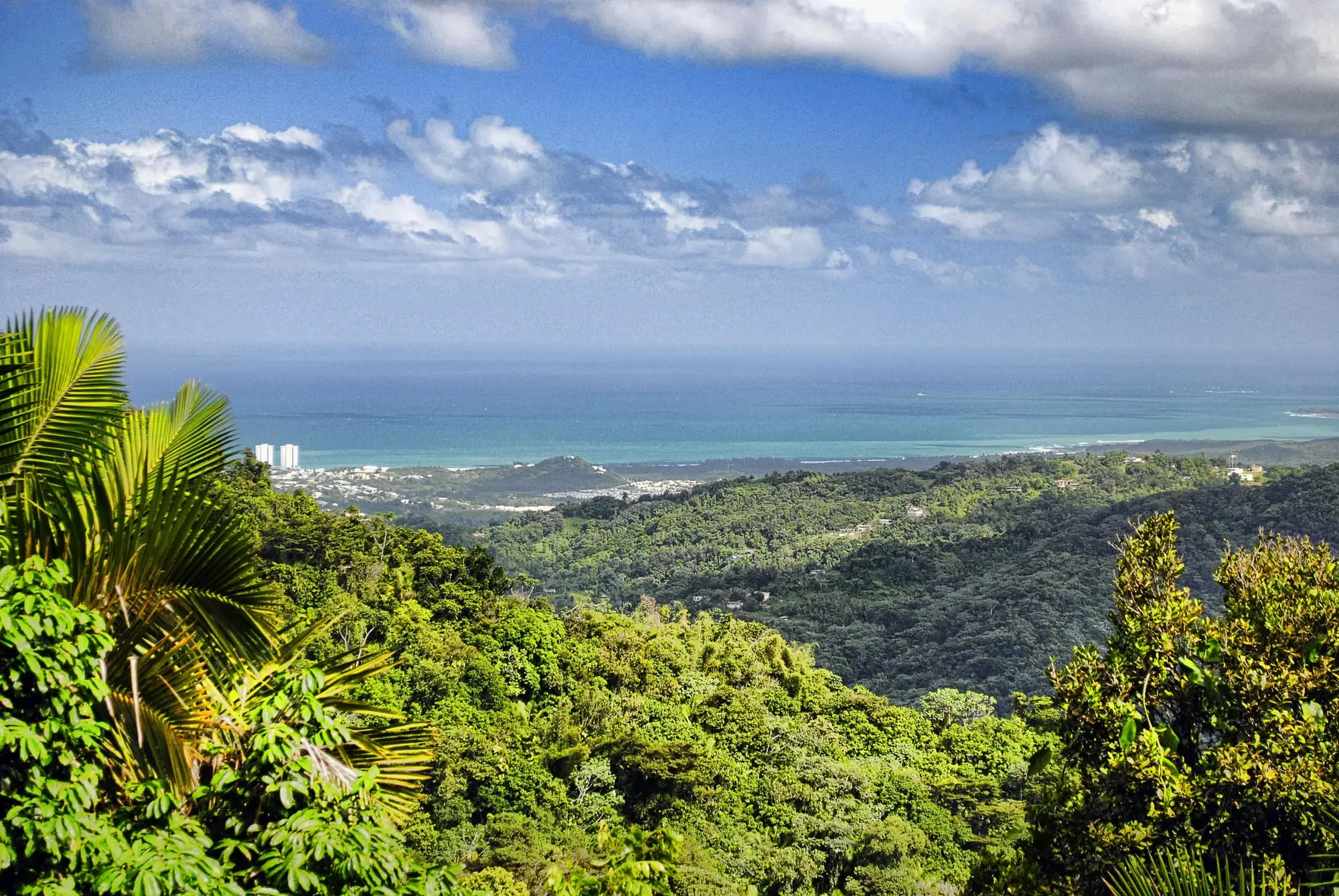 View north-east from the slopes of El Yunque: forested ridges falling to the coast and the Atlantic
